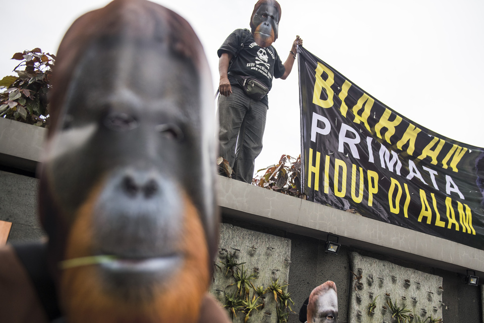 Members of Profauna Indonesia participate in Primate Day in Bandung, West Java, on Wednesday. (Antara Photo/M Agung Rajasa)