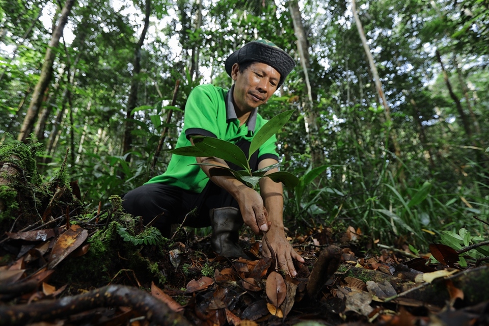 April Group has invested significant resources in its Riau Ecosystem Restoration (RER). (Photo courtesy of April Group)