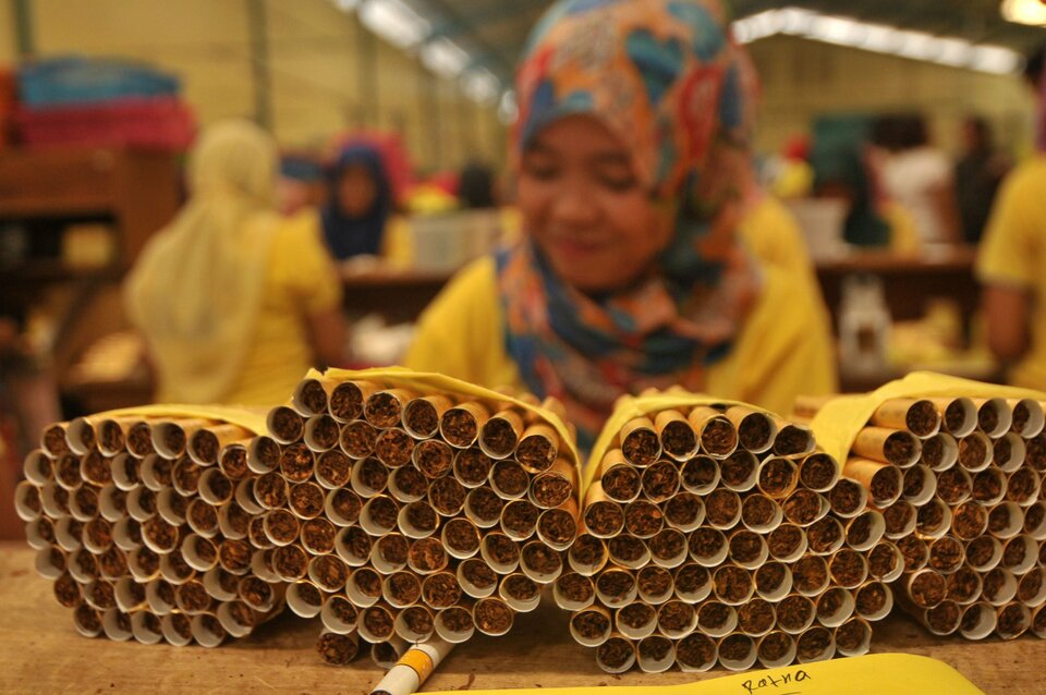 A worker rolling cigarettes in a factory in Munjung Agung, a village in Tegal, Central Java. (Antara Photo/Oky Lukmansyah)