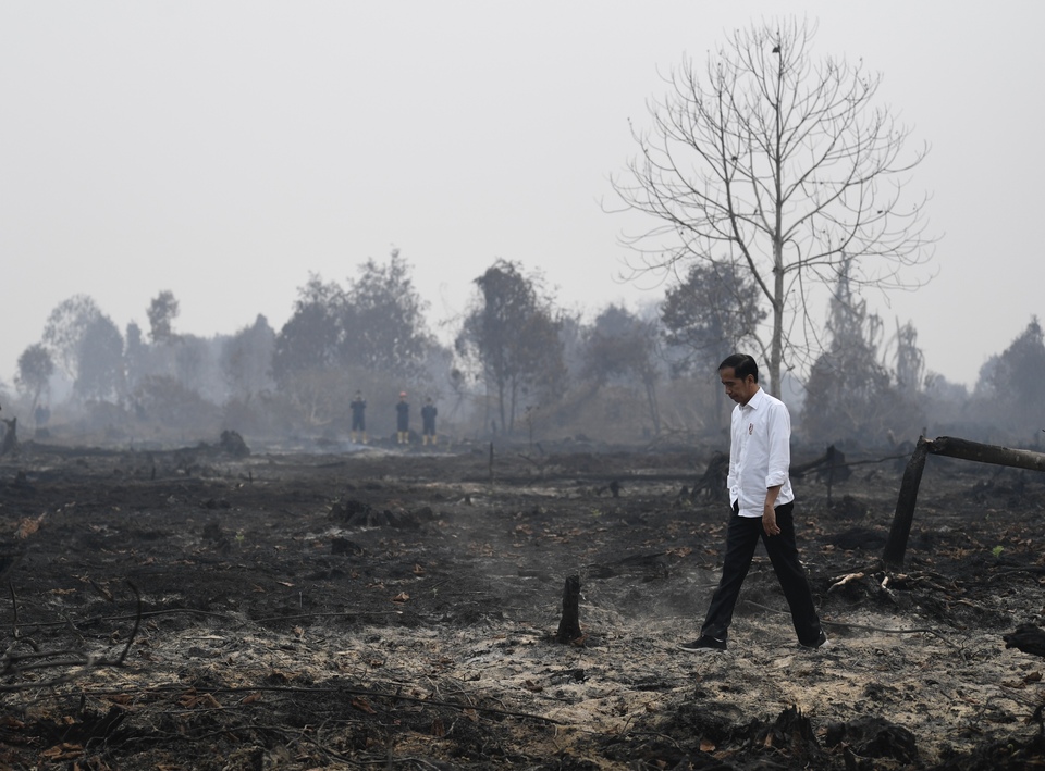 President Joko Widodo inspects a burning forest in Pekanbaru, Riau, last year. (Antara Photo/Puspa Perwitasari)