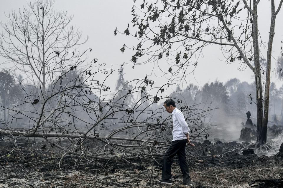 President Joko Widodo inspects a burning forest in Pekanbaru, Riau, last year. (Antara Photo/Puspa Perwitasari)