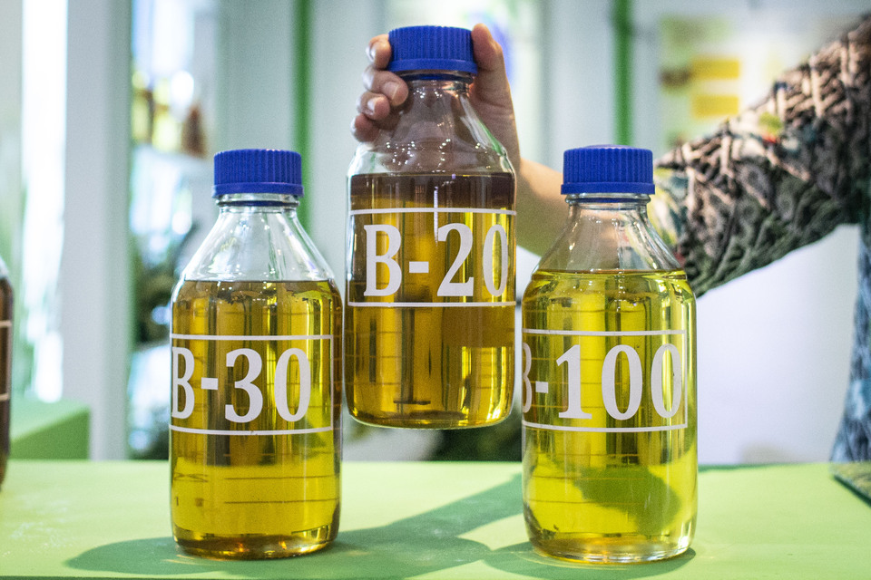 A staff shows samples of B-20, B-30, B-100 palm-oil based biodiesel in Jakarta on February 26, 2019.(Antara Photo/Aprillio 
Akbar)