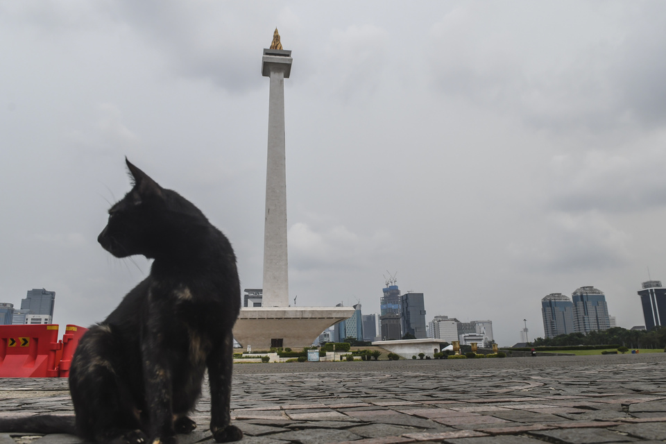 A cat stands in an empty plaza of the National Monument in Central Jakarta on Saturday as the city decides to close major public space to contain Covid-19 pandemic. (Antara Photo/Muhammad Adimaja)

.