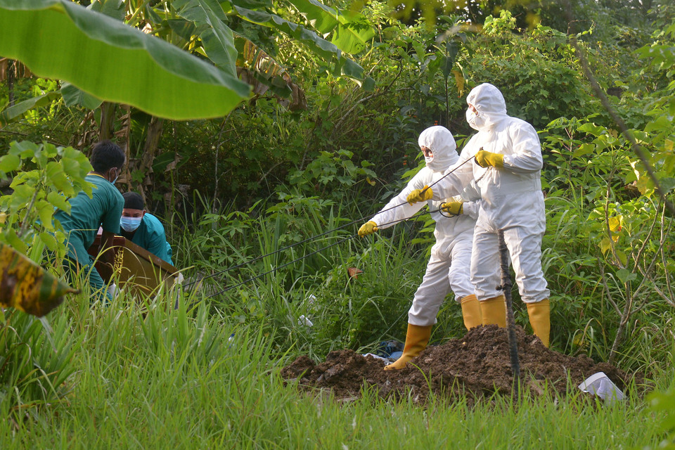 Medical workers and residents lower the coffin of a deceased Covid-19 patient at a public cemetery in Aceh Besar, Aceh, on June 17, 2020. (Antara Photo /Ampelsa)