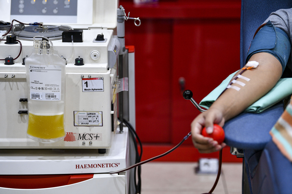 A Covid-19 survivor donates his blood at the Indonesia Red Cross office in Surabaya, East Java, on Sept. 18, 2020. Doctors are using blood plasma from survivors as therapy for critical Covid-19 patients. (Antara Photo/M Risyal Hidayat)
