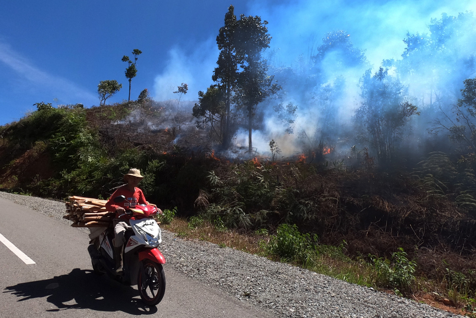 A man drives his motorcycle past burning farmland in Kerinci, Jambi, last August. (Antara Photo/Wahdi Septiawan)