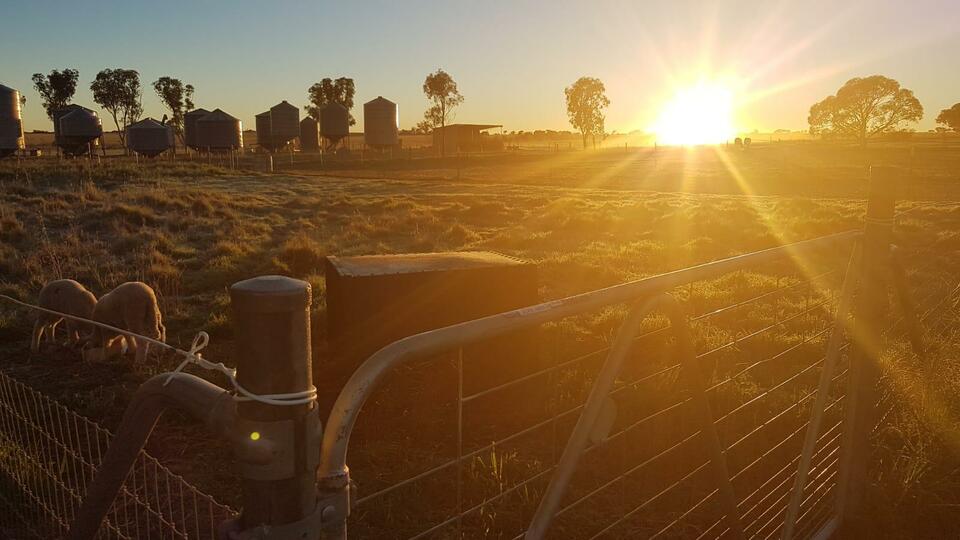 A winter sunrise at Amaroo farm, Muntadgin, Western Australia. (JG Photo/Meleva Thorn)