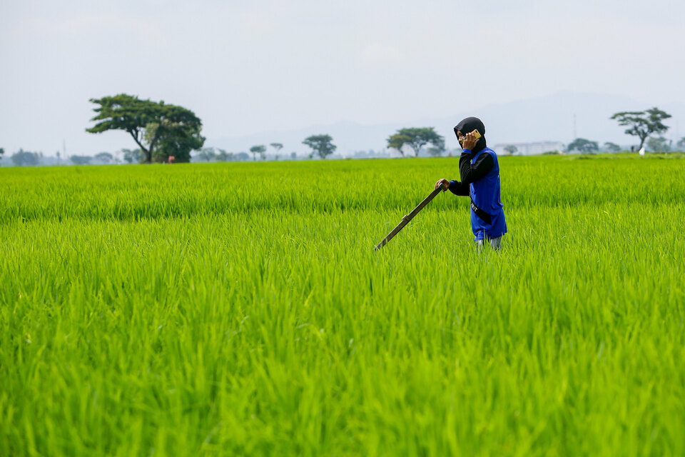 Driving Indonesia’s Recovery Calls For A Robust Agri-Food Industry