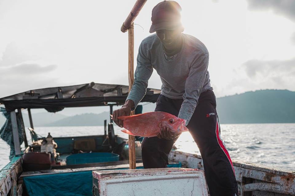 A fisherman captures a fish in Saleh Bay in West Nusa Tenggara. (Photo Courtesy of Fish For Good)