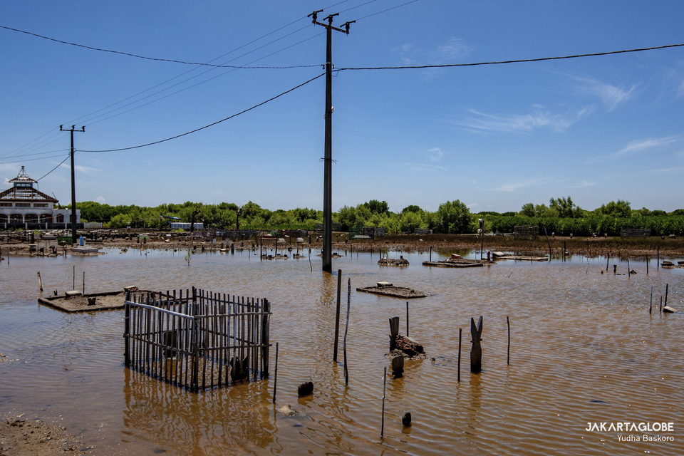 A public cemetery in Kampong Beting, West Java is sinking due to the rising sea level on September 16, 2021. (JG Photo/Yudha Baskoro) 