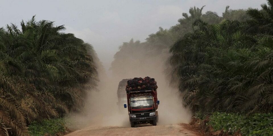 (Photo courtesy of Astra Agro Lestari)