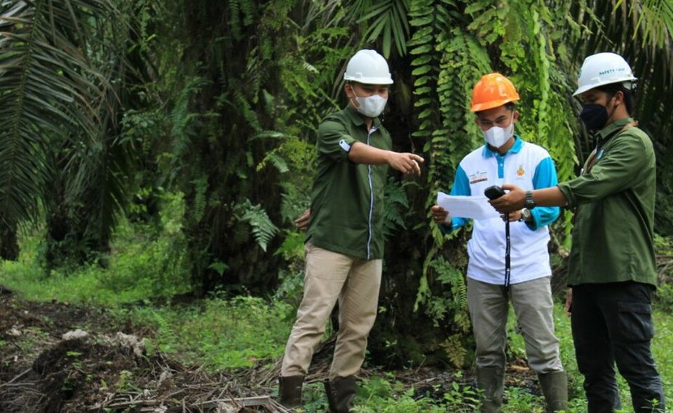 Asrta Agro Lestari workers inspect a palm oil plantation. (Handout)