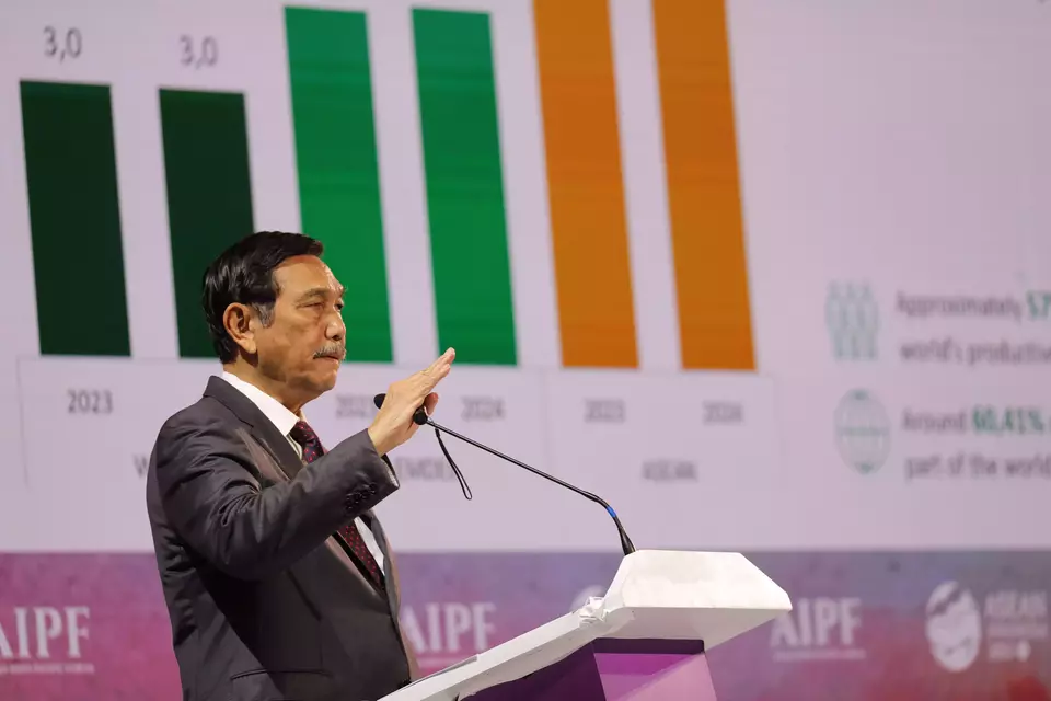 Chief Investment Minister Luhut Binsar Pandjaitan. (Antara Photo)