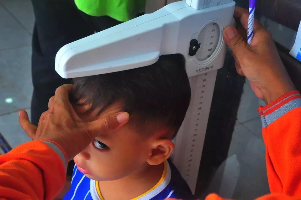 A health service post volunteer measures a child's height during a stunting prevention campaign in Central Java on June 14, 2024. (Antara Photo/Yusuf Nugroho)