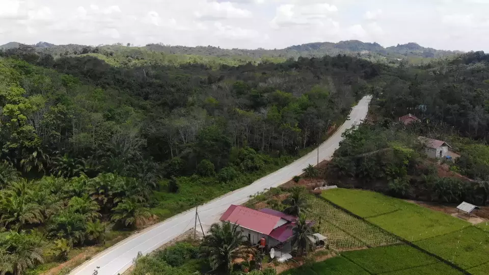 The 9.6-kilometer village road, previously a dirt and gravel path, has now been transformed into a concrete road. This upgrade has greatly facilitated the distribution of agricultural products for farmers in three villages around the new capital Nusantara, in Sepaku District, Penajam Paser Utara Regency, East Kalimantan. (Beritasatu.com/Fuad Iqbal Abdullah)