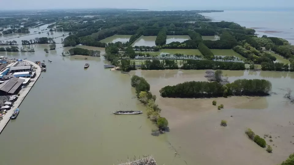 Semarang-Demak Toll Road: Indonesia’s First Bamboo-Based Infrastructure Tackles Tidal Flooding