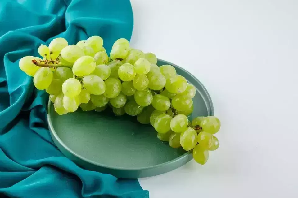 Shine Muscat grapes (Freepik/8Photo)