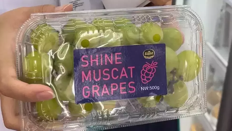 This undated photo shows shine muscat grapes. (B1 Photo/Widy Wicaksono)
