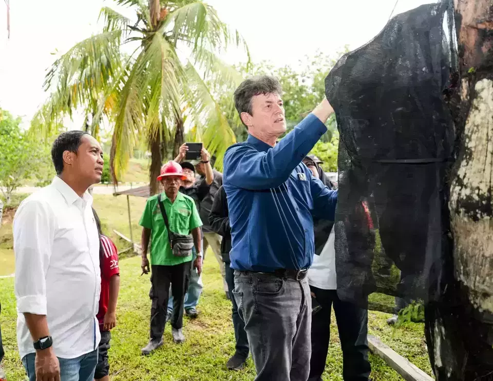 Forestry Minister Raja Juli Antoni visits a sugar palm plantation in East Kalimantan, Sunday, Dec. 1, 2024. (Handout)