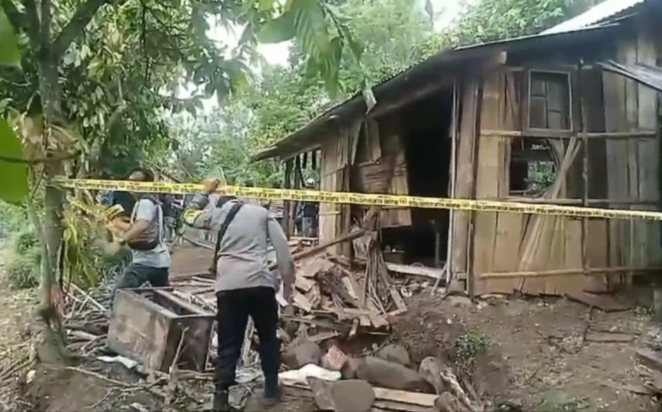 A herd of wild elephants rampaged through Gunung Doh village, Tanggamus, Lampung, early Monday morning, Dec. 30, 2024, causing destruction and tragedy. (Beritasatu.com/Roy Triono)