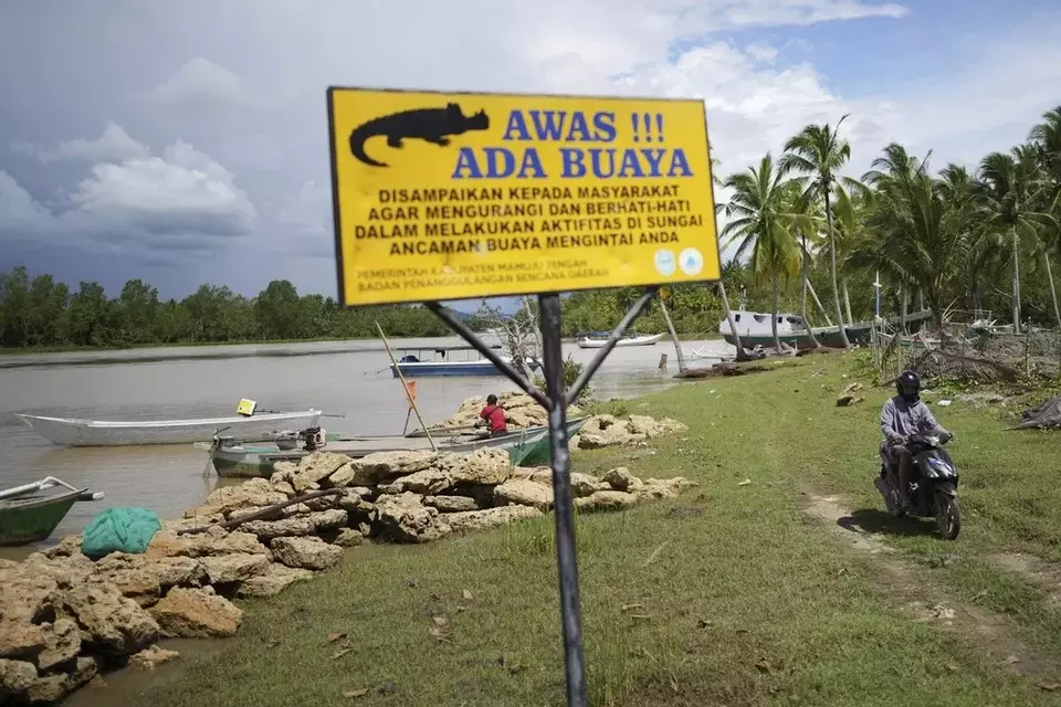 Crocodile Attacks in Indonesia Are on the Rise