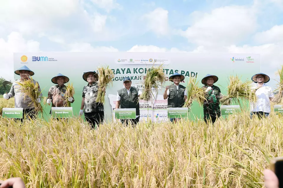 Pupuk Indonesia helps boost rice productivity in Blora, Central Java. (Photo Courtesy of Pupuk Indonesia)