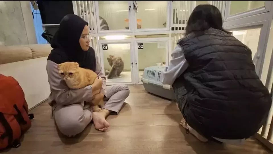 A cat owner drops off their pet at a pet hotel as cat boarding facilities in Malang, East Java, see a surge in customers ahead of the 2025 Eid homecoming. (Beritasatu.com/ Putu Ayu Pratama S)