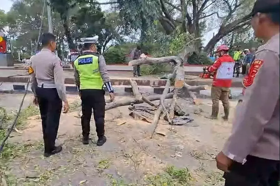 This photo provided by police shows a collapsed tree at a public square in Pemalang Regency, Central Java, Monday, March 31, 2025. (Handout)