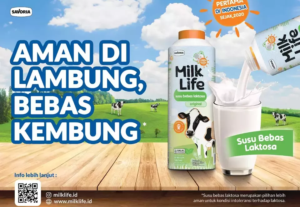(Photo Courtesy of MilkLife)