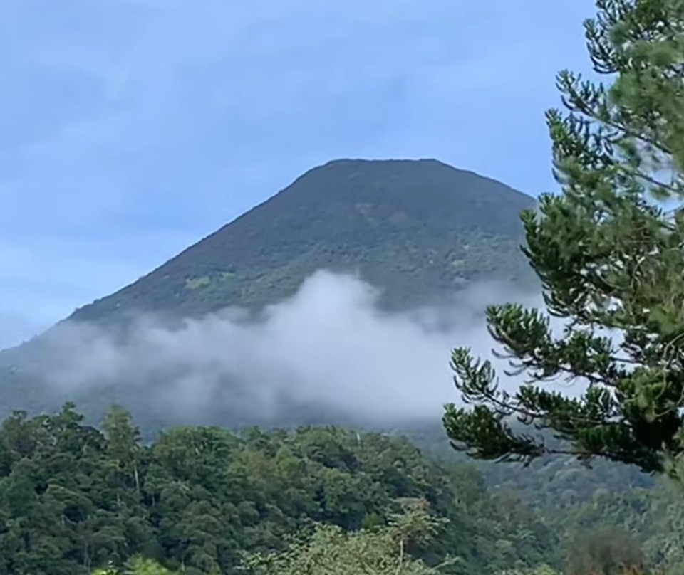 The condition of Mount Gede after being closed since early April 2025 (Beritasatu.com/Riski Maulana)