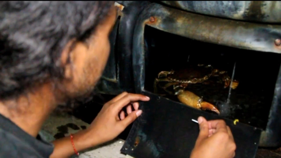 East Java Villager Cultivates Export-Quality Mangrove Crabs Using Plastic Jerricans