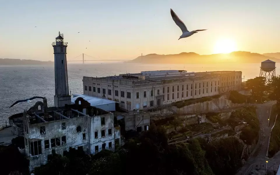 A bird flies above Alcatraz Island on Sunday, May 4, 2025, in the San Francisco Bay, California. (AP Photo/Noah Berger)