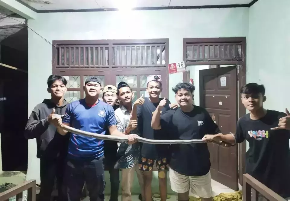 Villagers pose with a captured cobra in Malingping District, Lebak Regency, Banten, on Saturday, Sept. 6, 2025. (Photo courtesy of Lebak Fire Dept.)