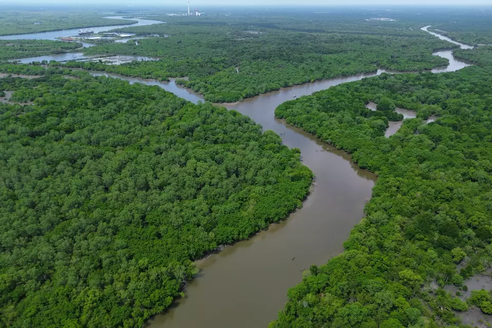 This aerial photo shows mangrove forests in Deli Serdang, North Sumatra, on Oct. 28, 2025. (Antara Photo/Yudi Manar)