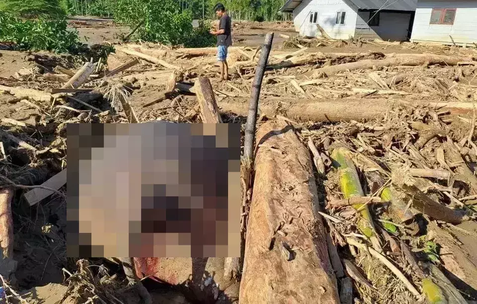 A Sumatran elephant carcass lies after being swept away by flash floods in Meunasah Lhok, Meureudu, Pidie Jaya, Aceh, on Saturday, Nov. 29, 2025. (Antara/FB Anggoro)